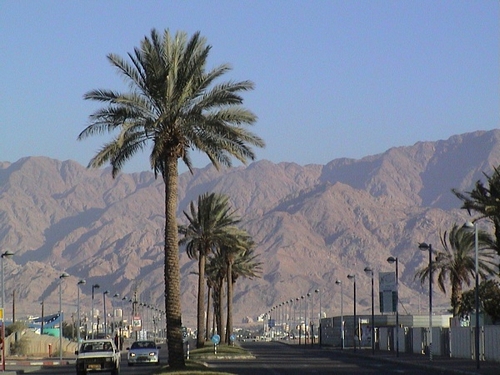 eilat33.jpg